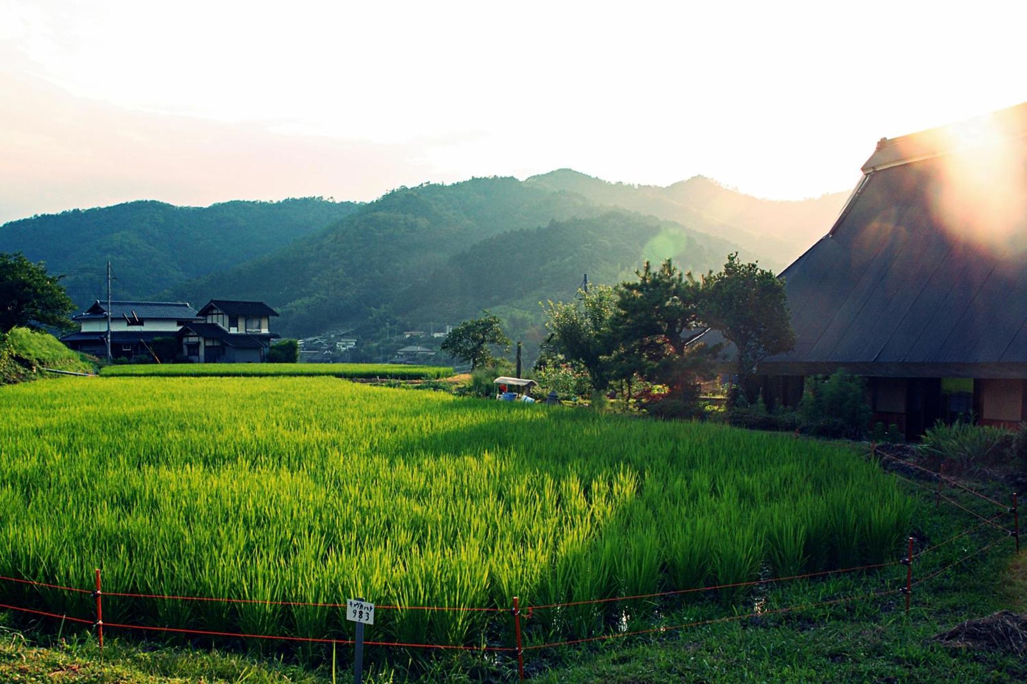 古民家の宿 ふるま家 Furumaya House Gastronomic Farmstay In Deep Kyoto Fukuchiyama Exterior photo
